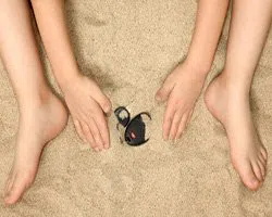 Brighton Locksmith Store Brighton, MA 617-449-7651 Brighton Locksmith Store Brighton, MA 617-449-7651